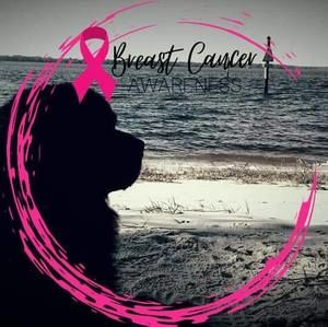 Meet your Posher, Alycia